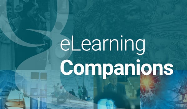 eLearning: Tesis Bootcamp