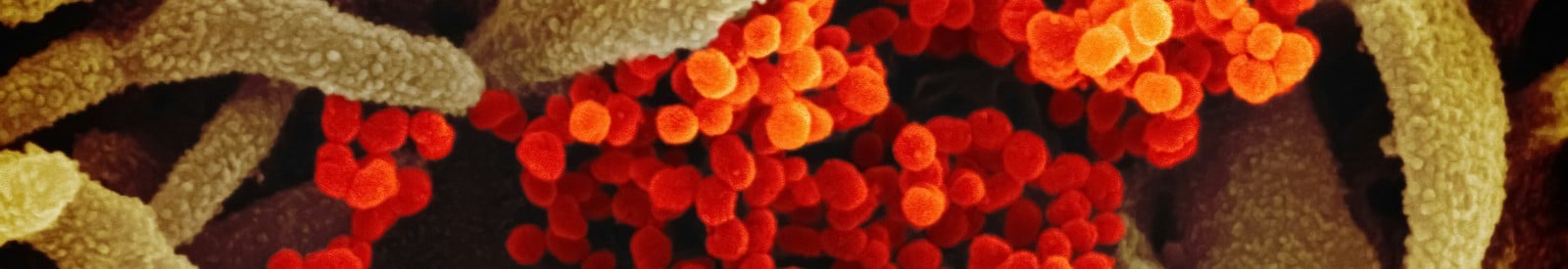 Biological Science Collection