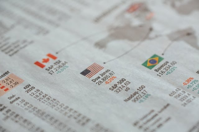 Expert Market Information