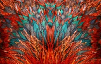 Heloise and Abelard: Fact, Fiction and Forbidden Love