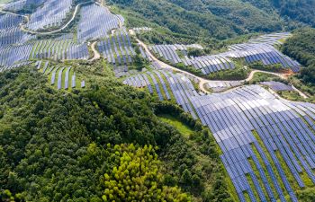 Global collaboration for climate change prevention